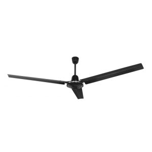 import placeholder for 67313
