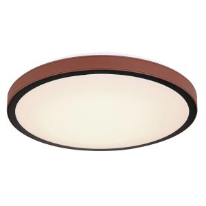 import placeholder for 81974